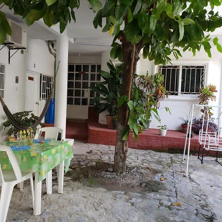 Las Palmas Zihuatanejo Extérieur photo